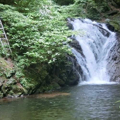 🏞️ 후쿠시마 공항 공원 (후쿠시마 쿠코 코엔)